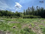 Prodej lesa, OV, 1 948 m2, Kadov - Pole, okres Strakonice, cena 275000 CZK / objekt, nabízí 