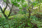 Prodej pozemku 644 m2, Praha - Hloubětín. , cena 3750000 CZK / objekt, nabízí 