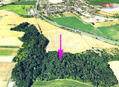 Prodej lesa, 4332 m2, Držovice, cena 342228 CZK / objekt, nabízí 