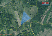 Prodej lesa, 29198 m2, Jetětice, cena 630000 CZK / objekt, nabízí 
