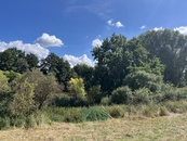 Prodej pozemky - trvalý travní porost, 698 m2 - Praha - Královice, cena 69000 CZK / objekt, nabízí OAK real s.r.o.